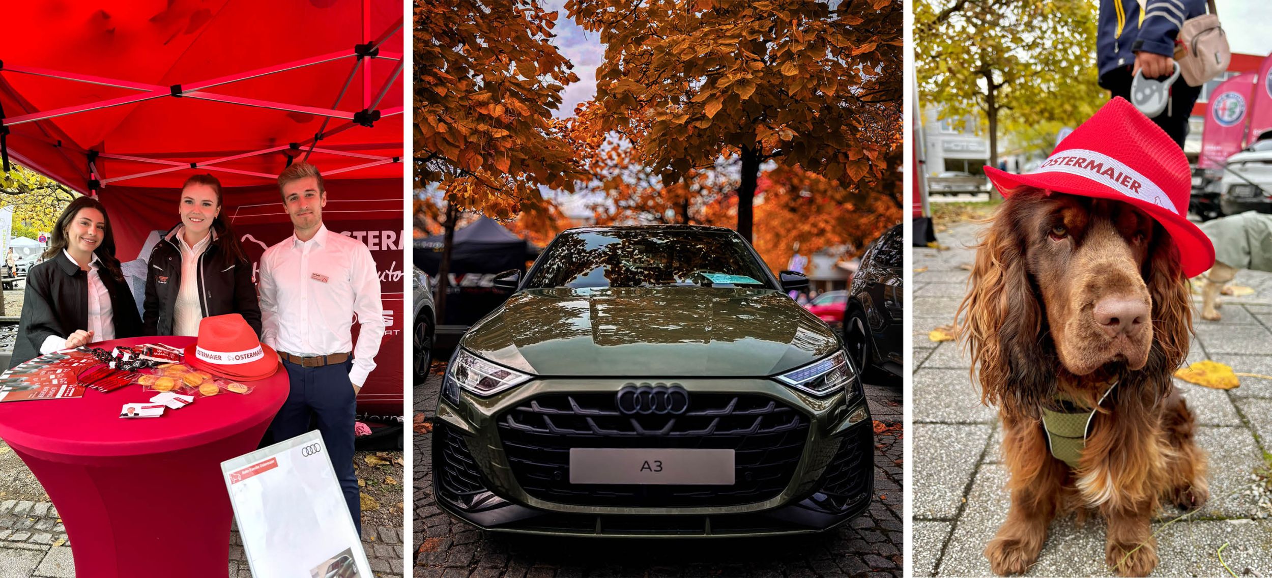 Das Bild zeigt unser Autoschau-Team (v. l.): Miriam Wünsch (Verkaufsassistenz Audi), Sophia Gruber (Verkaufsberaterin VW Neuwagen) und Rudolf Finn (Verkaufsberater Audi Neuwagen)